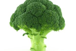 Le brocoli