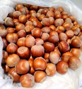 Noisettes
