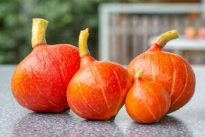 potimarron